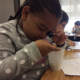 Using a Loop to investigate Germs