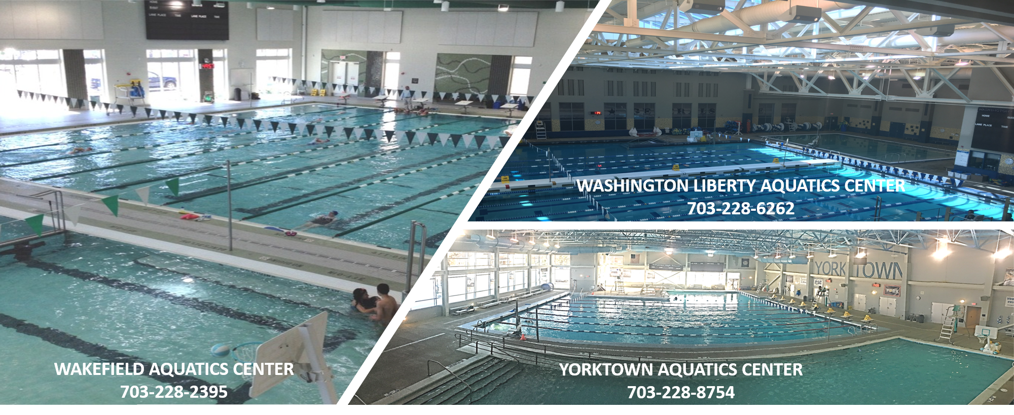 Aquatics Management Arlington Public Schools