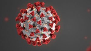 CDC冠状病毒