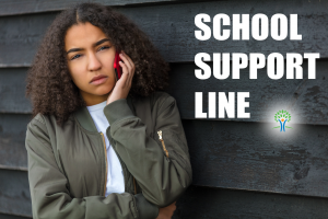 Support-Hotline für Schulen