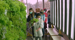 photo of students in hydrogarden
