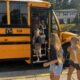 Schüler steigen am ersten Tag aus dem Bus aus