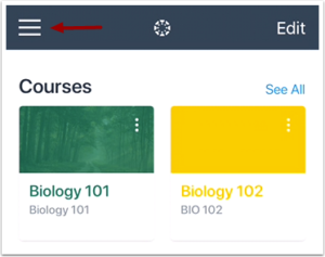 Canvas user menu