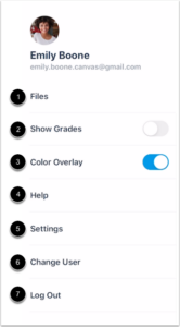 Canvas View User Menu