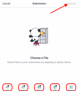 Canvas app media recording window