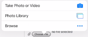 Canvas in a browser discussion choose photo