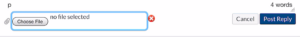 Canvas in a browser discussion choose file button