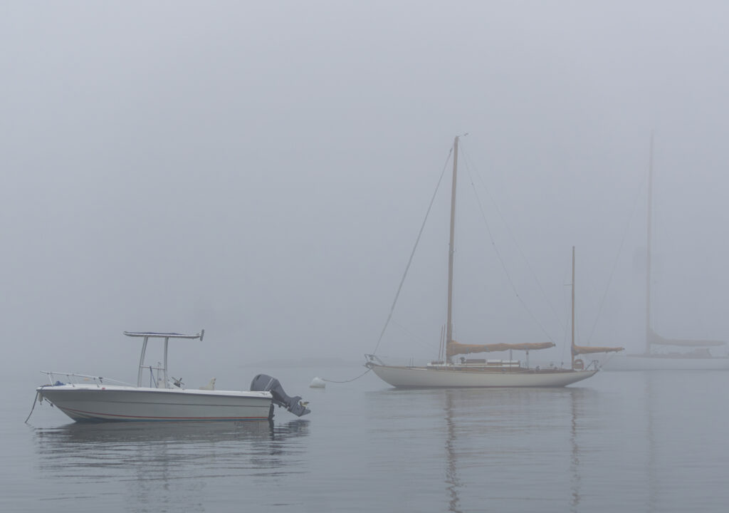 Seal Harbor Fog