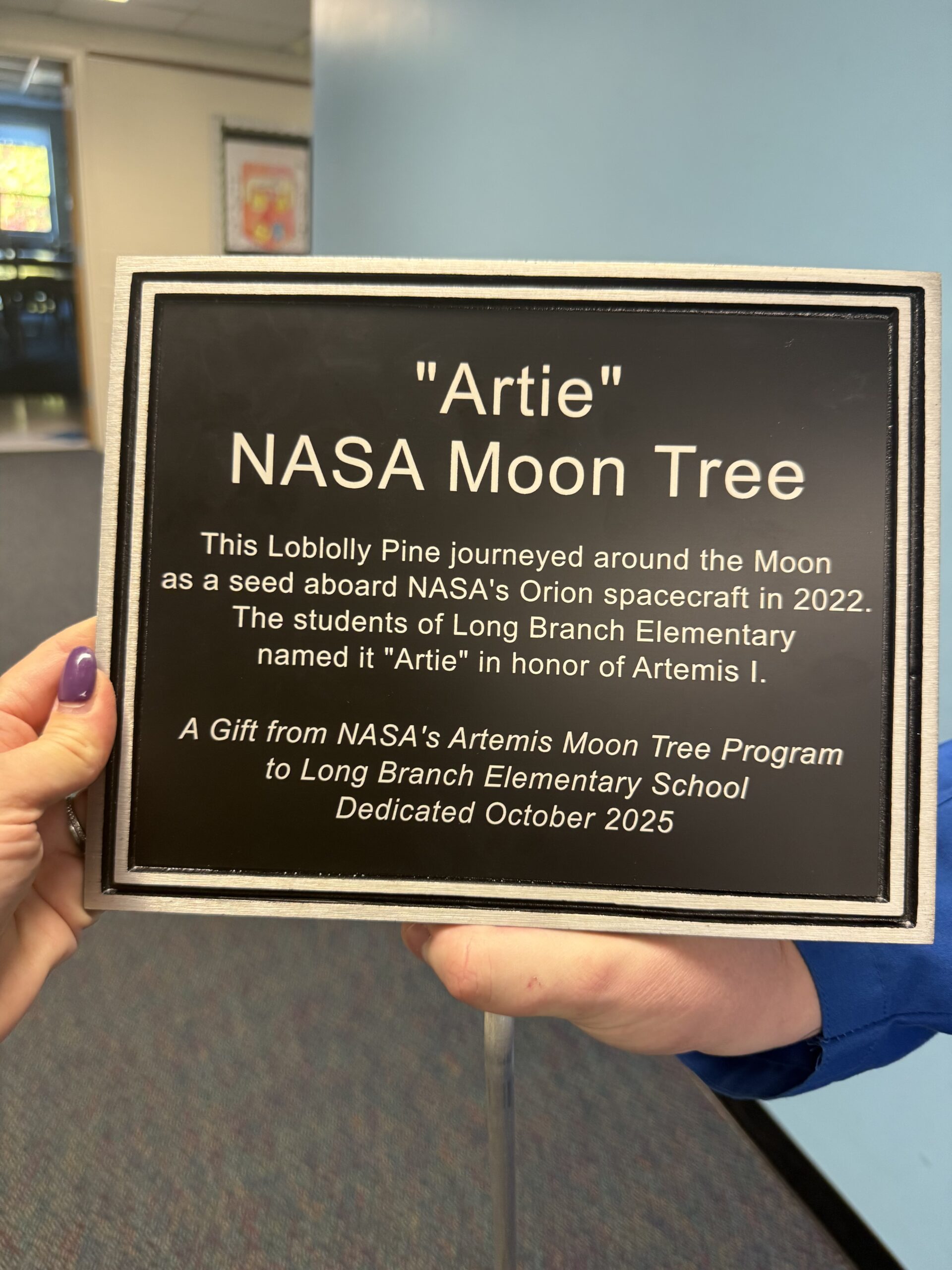 Long Branch's Moon Tree