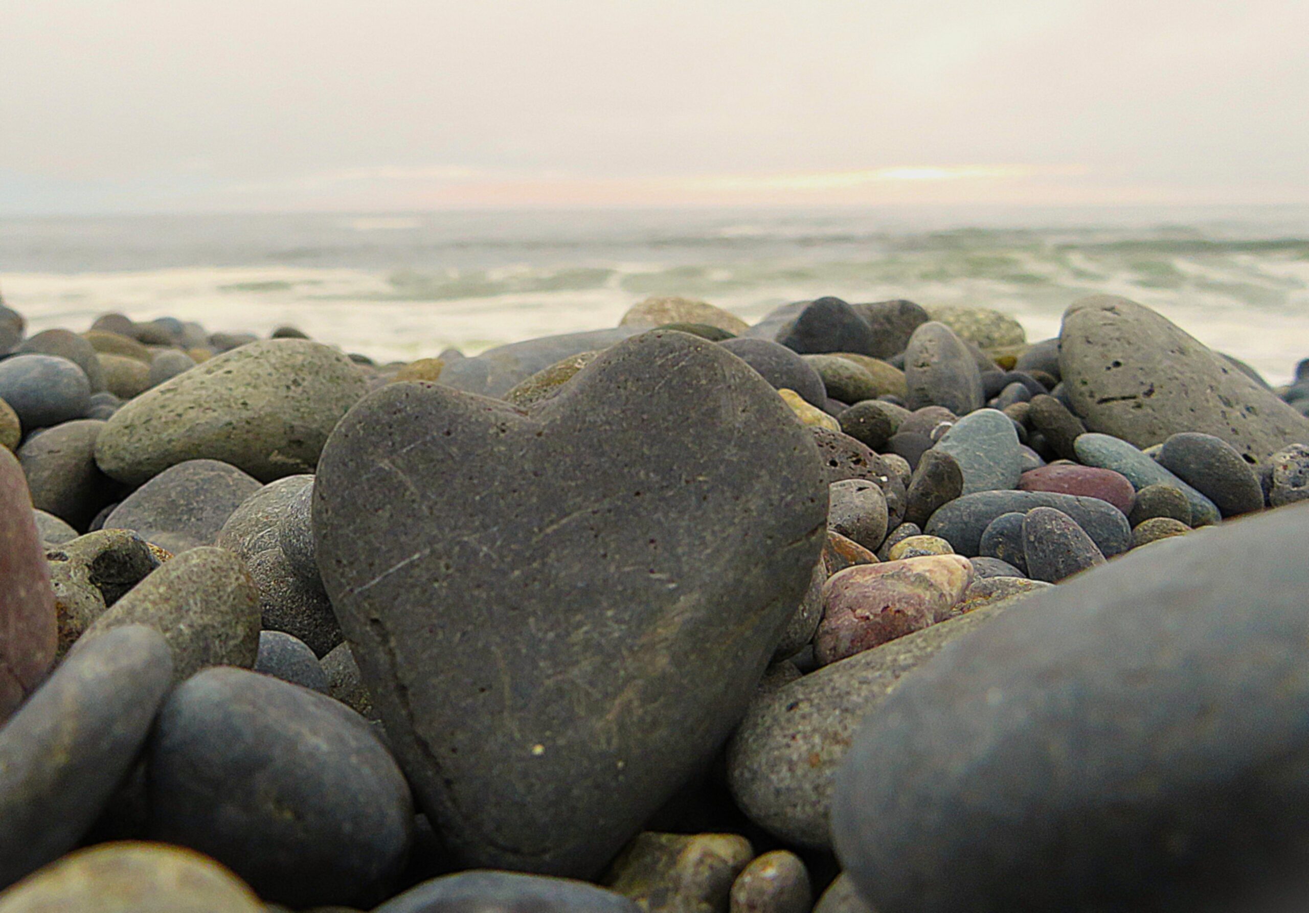 Photography.Middle.Gunstonmiddle.Kravetz-gina-mendoza-scaled